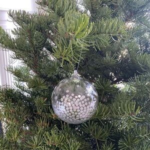 CB2 Clear Silver Dot Ornaments (2)